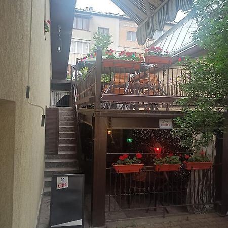 Casa Lucescu Apartment Vatra Dornei Exterior photo