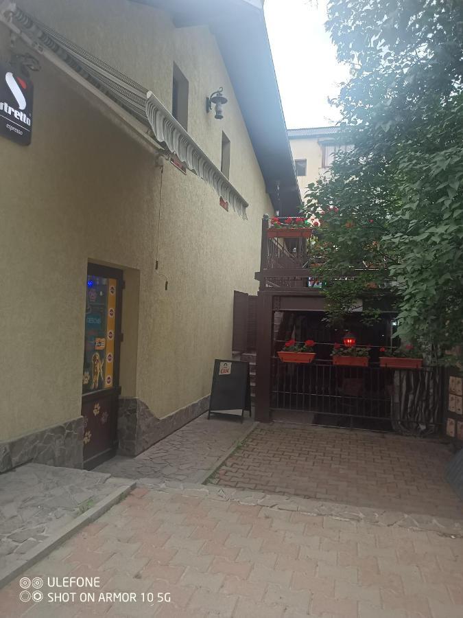 Casa Lucescu Apartment Vatra Dornei Exterior photo